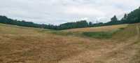 Bohdalovice u Větřní | Revitalizace hlavního odvodňovacího zařízení